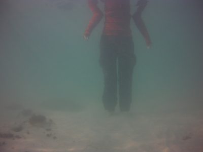underwater time-lapse shot